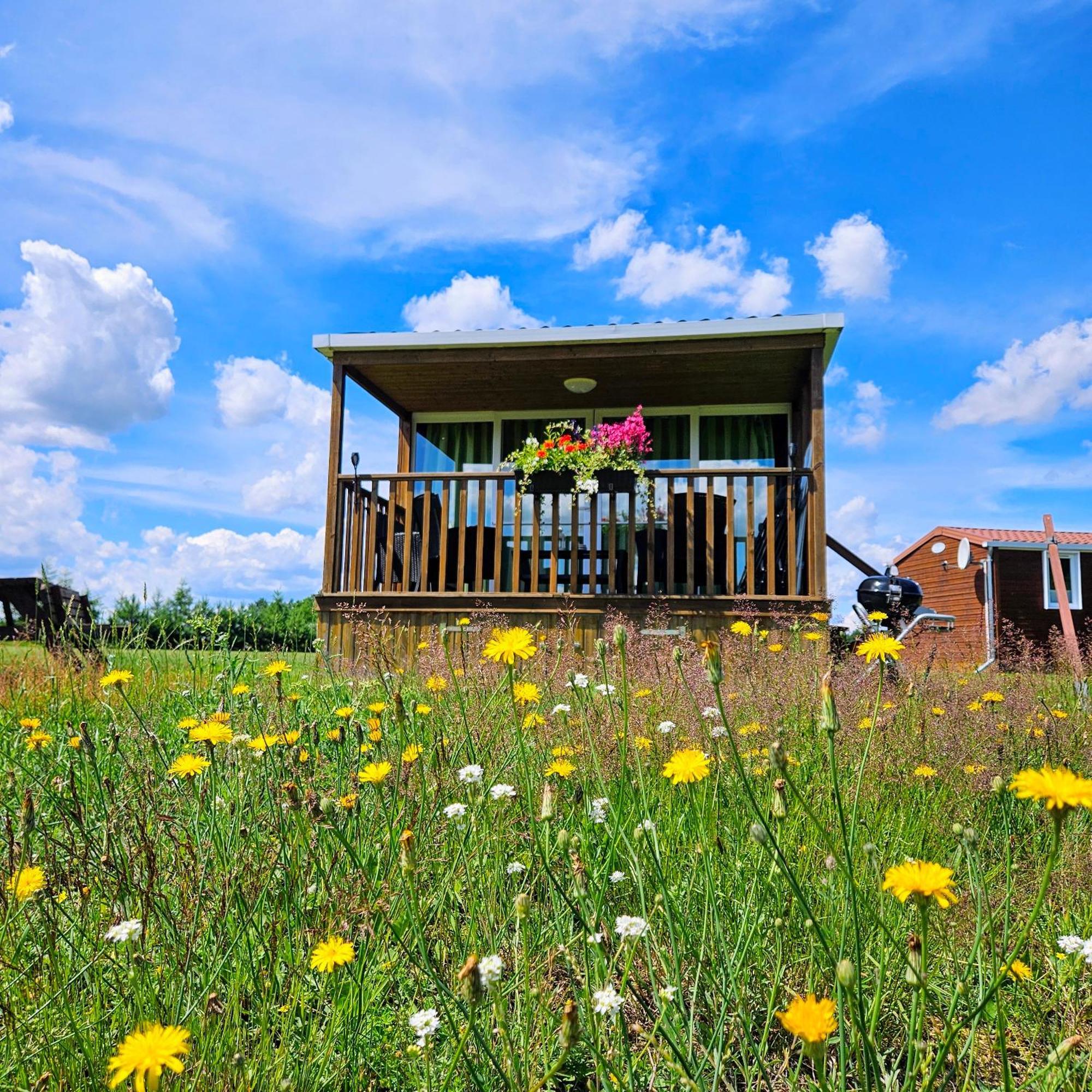 Hotel Landgut Voigtsmuehle à Friedland  Extérieur photo